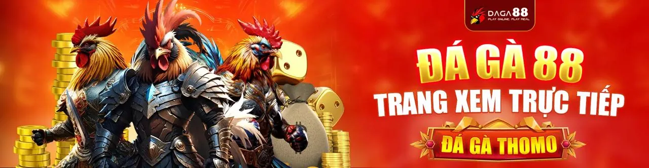 Hình ảnh sân đấu đá gà trực tuyến tại NEW88BET WIN