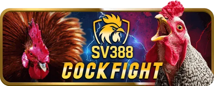 Hình ảnh chuyên mục casino trực tuyến new88bet win